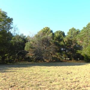 Photo #10 of Lot 3&X BARLOW CREEK LN., EASTVILLE, VA 5.0 acres