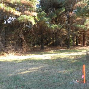 Photo #12 of Lot 3&X BARLOW CREEK LN., EASTVILLE, VA 5.0 acres