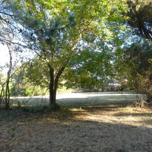 Photo #16 of Lot 3&X BARLOW CREEK LN., EASTVILLE, VA 5.0 acres