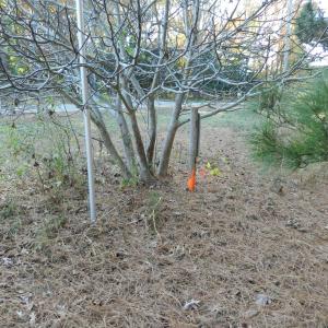 Photo #18 of Lot 3&X BARLOW CREEK LN., EASTVILLE, VA 5.0 acres