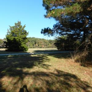 Photo #20 of Lot 3&X BARLOW CREEK LN., EASTVILLE, VA 5.0 acres