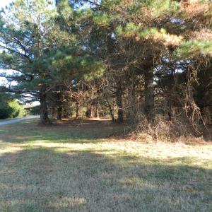 Photo #21 of Lot 3&X BARLOW CREEK LN., EASTVILLE, VA 5.0 acres