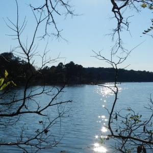 Photo #25 of Lot 3&X BARLOW CREEK LN., EASTVILLE, VA 5.0 acres