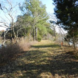 Photo #26 of Lot 3&X BARLOW CREEK LN., EASTVILLE, VA 5.0 acres