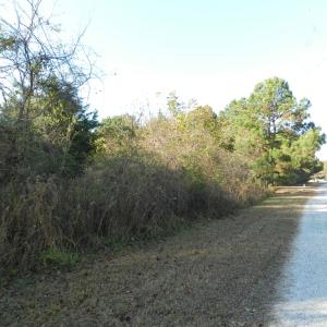 Photo #27 of Lot 3&X BARLOW CREEK LN., EASTVILLE, VA 5.0 acres