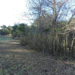 Photo #28 of Lot 3&X BARLOW CREEK LN., EASTVILLE, VA 5.0 acres