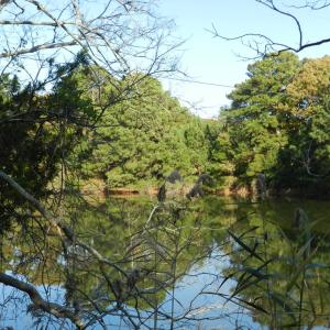 Photo #3 of Lot 3&X BARLOW CREEK LN., EASTVILLE, VA 5.0 acres