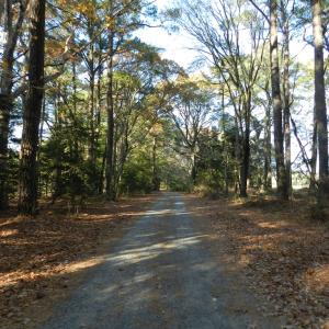 Photo #30 of Lot 3&X BARLOW CREEK LN., EASTVILLE, VA 5.0 acres