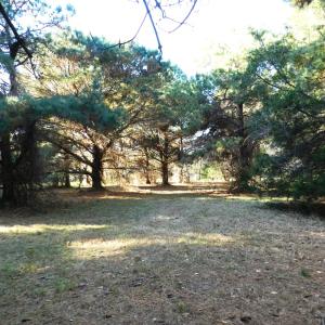 Photo #17 of Lot 3&X BARLOW CREEK LN., EASTVILLE, VA 5.0 acres
