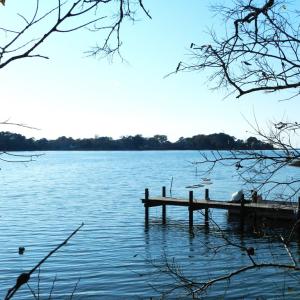 Photo #2 of Lot 3&X BARLOW CREEK LN., EASTVILLE, VA 5.0 acres