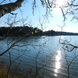 Photo #23 of Lot 3&X BARLOW CREEK LN., EASTVILLE, VA 5.0 acres