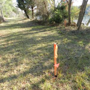 Photo #4 of Lot 3&X BARLOW CREEK LN., EASTVILLE, VA 5.0 acres