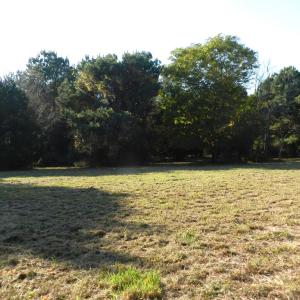 Photo #8 of Lot 3&X BARLOW CREEK LN., EASTVILLE, VA 5.0 acres