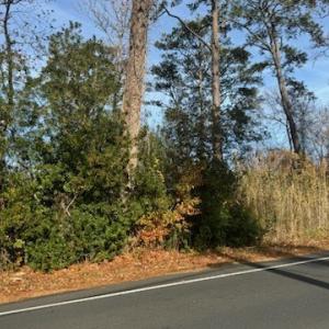 Photo #2 of 3 RIDGE RD, CHINCOTEAGUE, VA 0.2 acres