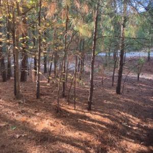 Photo #2 of CHERRY HILL RD, ACCOMAC, VA 7.0 acres