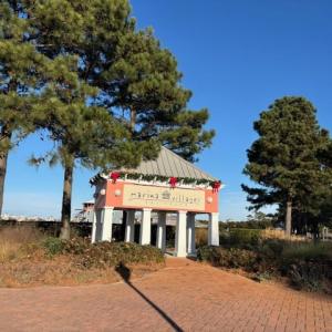 Photo #14 of 11 COLONY DR, CAPE CHARLES, VA 0.3 acres