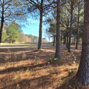 Photo #6 of 100 GOLDEN BEAR CIRCLE, CAPE CHARLES, VA 0.3 acres