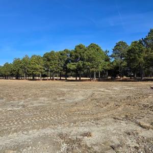 Photo #4 of 100 GOLDEN BEAR CIRCLE, CAPE CHARLES, VA 0.3 acres