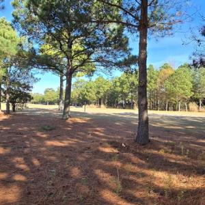 Photo #11 of 100 GOLDEN BEAR CIRCLE, CAPE CHARLES, VA 0.3 acres