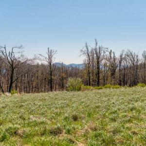 Photo #2 of Lot 16 HOWARDSVILLE TPKE, AFTON, VA 6.3 acres