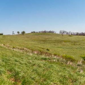 Photo #5 of Lot 16 HOWARDSVILLE TPKE, AFTON, VA 6.3 acres