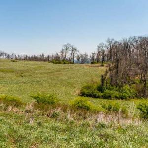 Photo #6 of Lot 16 HOWARDSVILLE TPKE, AFTON, VA 6.3 acres