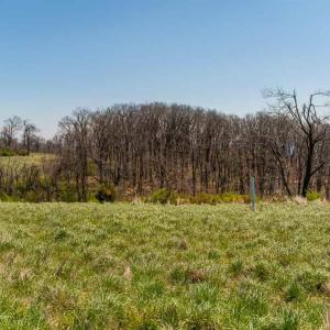 Photo #7 of Lot 16 HOWARDSVILLE TPKE, AFTON, VA 6.3 acres