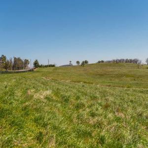 Photo #8 of Lot 16 HOWARDSVILLE TPKE, AFTON, VA 6.3 acres