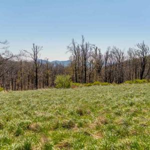 Photo #9 of Lot 16 HOWARDSVILLE TPKE, AFTON, VA 6.3 acres