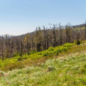 Photo #1 of Lot 16 HOWARDSVILLE TPKE, AFTON, VA 6.3 acres