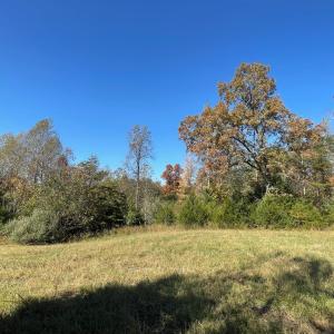 Photo #2 of TBD 2 FRAYS MILL RD, RUCKERSVILLE, VA 8.5 acres