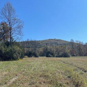 Photo #3 of TBD 2 FRAYS MILL RD, RUCKERSVILLE, VA 8.5 acres