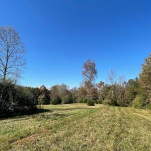 Photo #4 of TBD 2 FRAYS MILL RD, RUCKERSVILLE, VA 8.5 acres