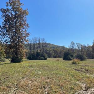 Photo #5 of TBD 2 FRAYS MILL RD, RUCKERSVILLE, VA 8.5 acres