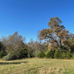 Photo #6 of TBD 2 FRAYS MILL RD, RUCKERSVILLE, VA 8.5 acres