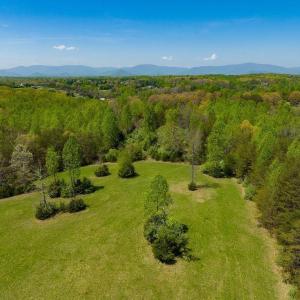 Photo #1 of TBD 2 FRAYS MILL RD, RUCKERSVILLE, VA 8.5 acres