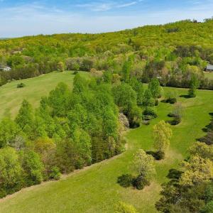Photo #3 of TBD 6 FRAYS MILL RD, RUCKERSVILLE, VA 7.2 acres