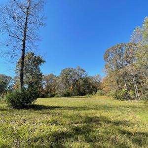 Photo #8 of TBD 6 FRAYS MILL RD, RUCKERSVILLE, VA 7.2 acres