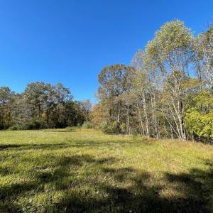 Photo #9 of TBD 6 FRAYS MILL RD, RUCKERSVILLE, VA 7.2 acres