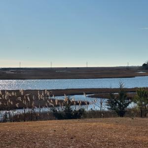 Photo #27 of Lot 75* PIN OAK, HORNTOWN, VA 0.1 acres