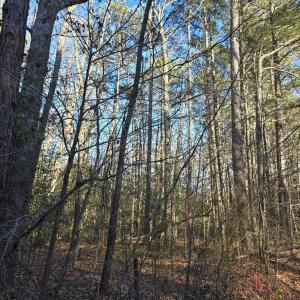 Photo #3 of AIRPORT DR, MELFA, VA 5.0 acres