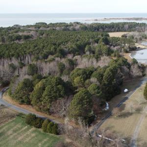 Photo #5 of Lt 11/12 OLD NECK RD, EXMORE, VA 3.9 acres