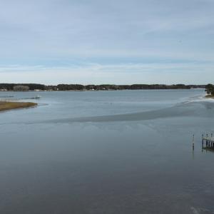 Photo #7 of Lt 11/12 OLD NECK RD, EXMORE, VA 3.9 acres