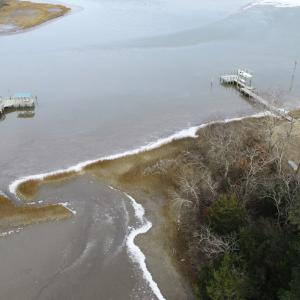 Photo #8 of Lt 11/12 OLD NECK RD, EXMORE, VA 3.9 acres