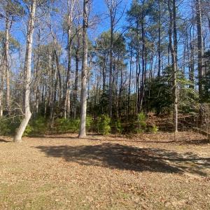 Photo #12 of Lot 69 SCARBURGH LANE, HORNTOWN, VA 3.3 acres