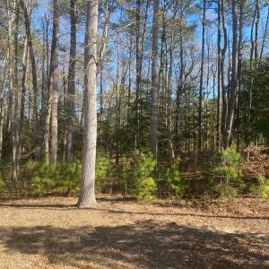 Photo #2 of Lot 69 SCARBURGH LANE, HORNTOWN, VA 3.3 acres