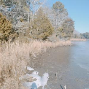Photo #4 of Lot 3 EAGLE POINT COURT, BELLE HAVEN, VA 3.0 acres