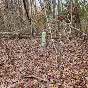 Photo #1 of TBD UNION HILL RD, BUCKINGHAM, VA 5.7 acres