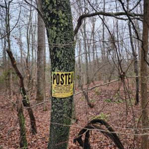 Photo #2 of TBD UNION HILL RD, BUCKINGHAM, VA 5.7 acres