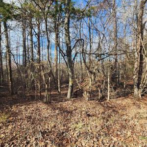 Photo #4 of TBD UNION HILL RD, BUCKINGHAM, VA 5.7 acres